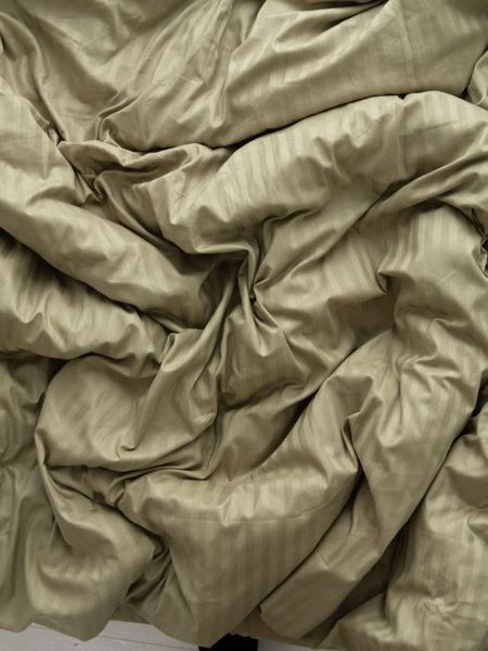 Комплект постільної білизни Страйп-сатин &bull; 100% бавовна &bull; Оливковий 1 STRIPE-SATIN-OLYVKOVYI-1-A фото