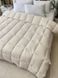 Одеяло бамбук (ОДА) &mdash; легкое, антибактериальное, всесезонное Вариант 2 BLANKET-BAMBOO-ODA-2 фото 1