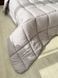 Ковдра бамбук (ОДА) &mdash; легка, антибактеріальна, всесезонна Варіант 3 BLANKET-BAMBOO-ODA-3 фото 9