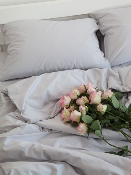 Комплект постельного белья Сатин Soft Collection &bull; 100% хлопок &bull; Серебристый SATIN-SOFT-SRIBNYI-A фото