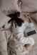 Комплект постельного белья Варёный хлопок &bull; 100% хлопок Soft Collection &bull; Бисквит BOILED-COTTON-BESKVIT-A фото 1