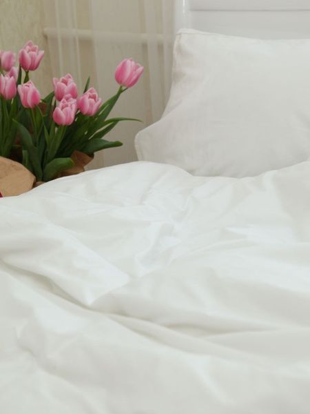 Комплект постельного белья Сатин Soft Collection &bull; 100% хлопок &bull; Белый SATIN-SOFT-BILYI-A фото